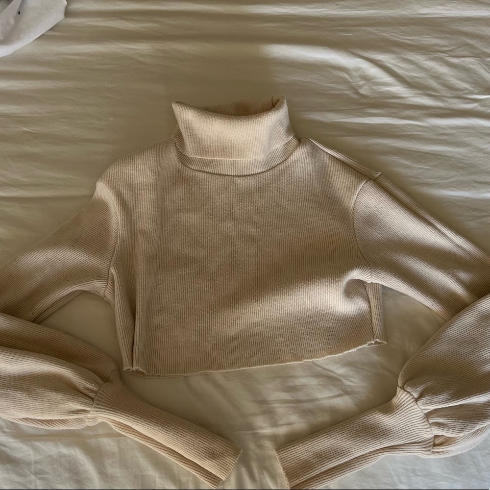 Choosy Turtleneck Crop Top